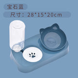 Cat Food Bowl Automatic Feeder 2 in 1 Eating Drinking Water