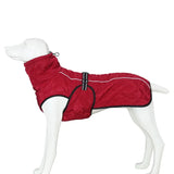 Dog Outdoor Jacket