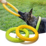 Pet Toys/Flying Disk Training Ring