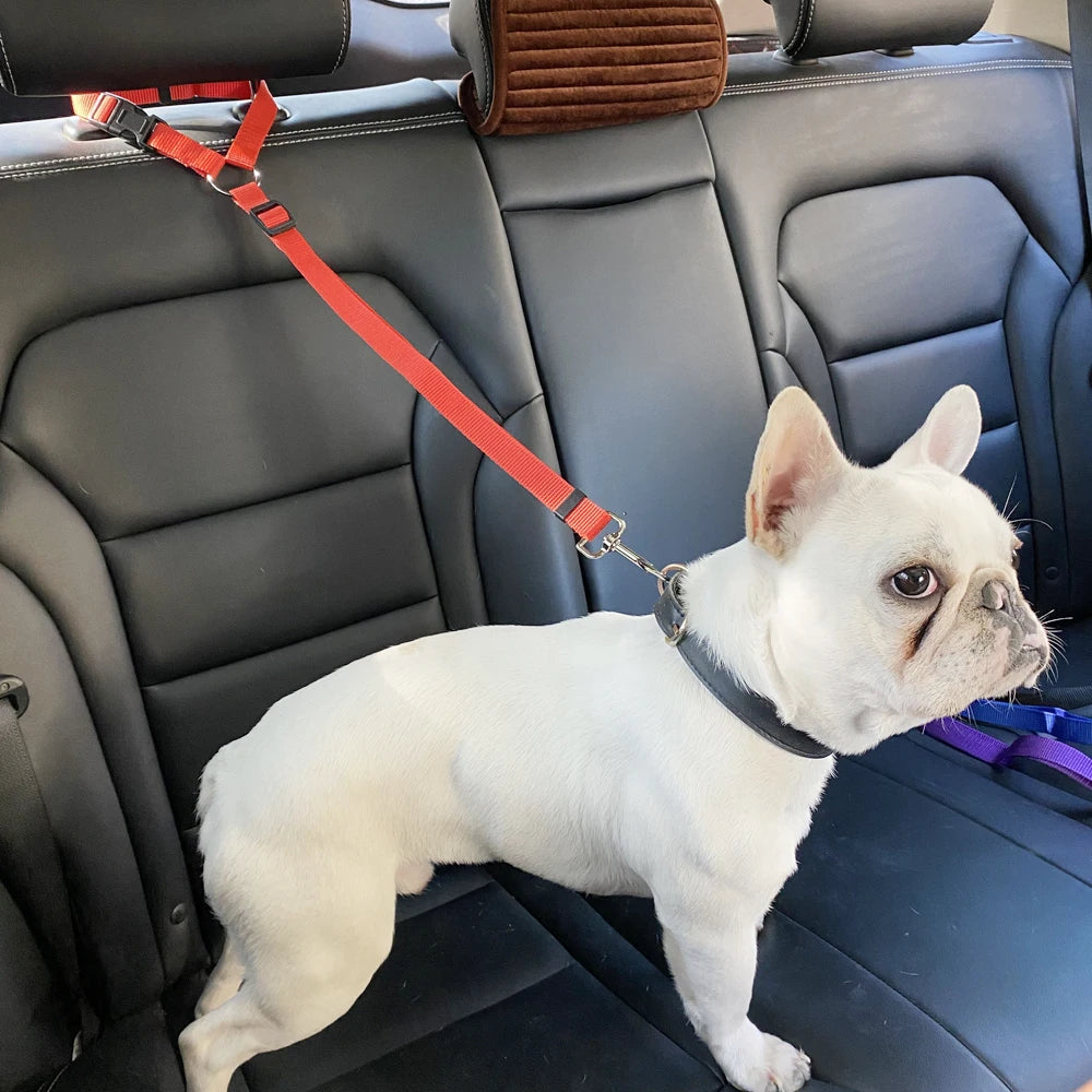 Pet Car Seat Belt Lead Leash